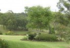 Walhalla Eastresidential-landscaping-40.jpg; ?>